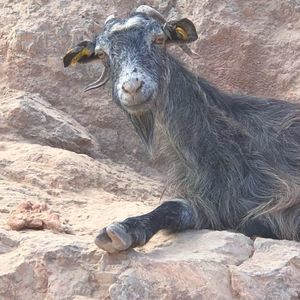 Meet your Posher, Kyle